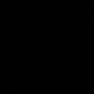 Meet your Posher, Chelsea